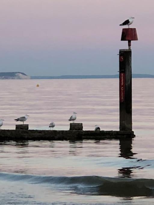 Bournemouth Nr Town Beach Train Coach Shops Lovely Entire Apartment Allows Quiet Good Dogs Exterior photo